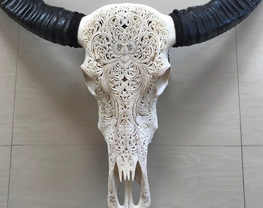 Carved buffalo skull carving floral