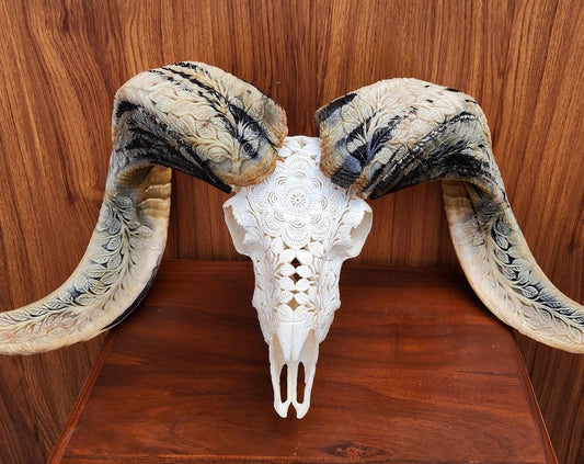 carve ram skull carving mandala white carved horn