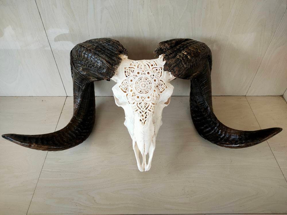 carved ram skull sheep skull carving mandala