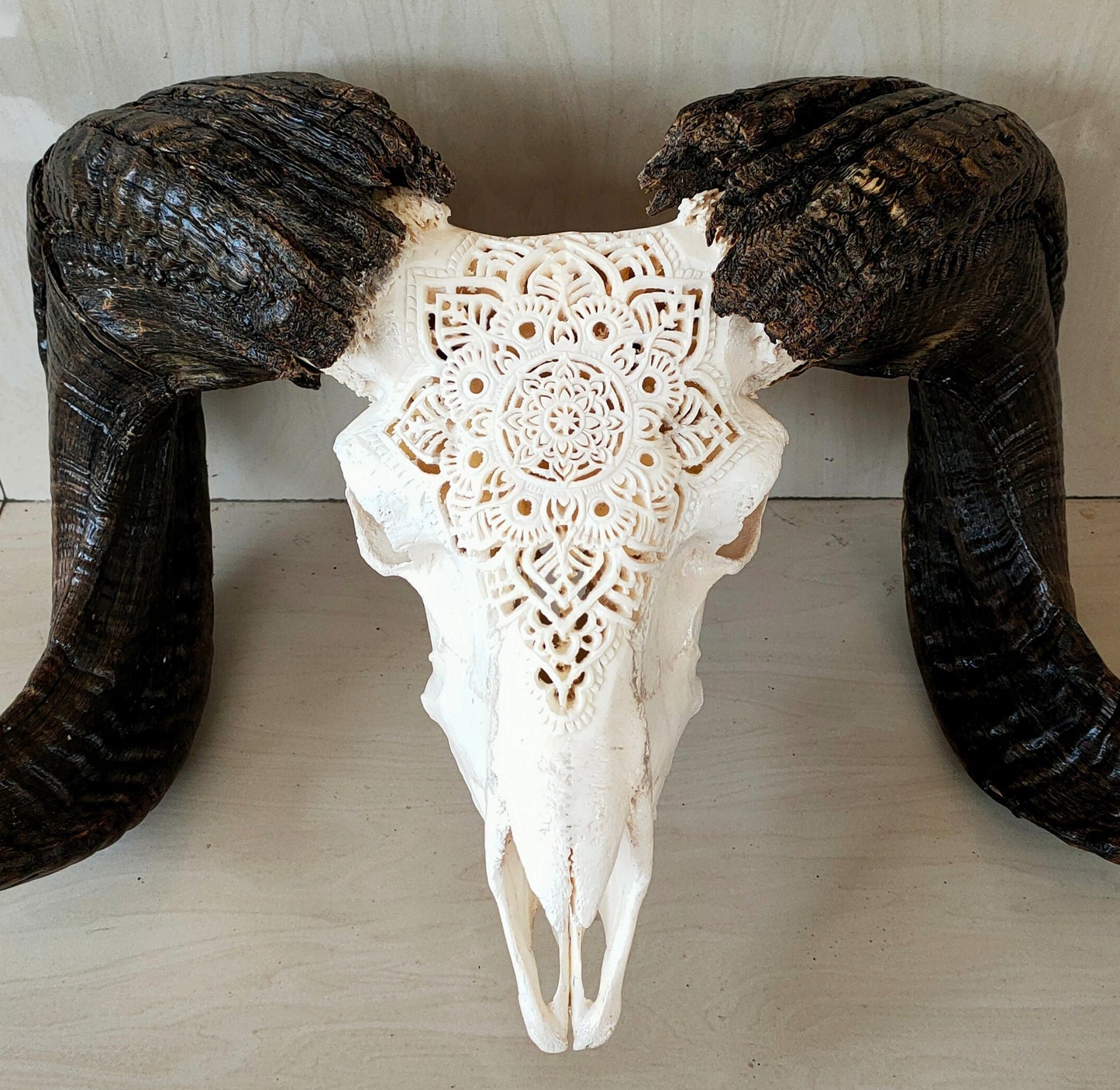 carved ram skull sheep skull carving mandala