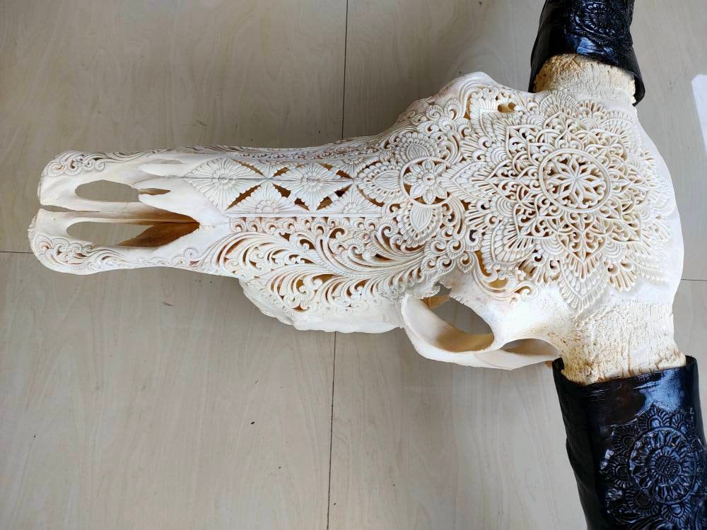 carve buffalo skull with long carved horn mandala