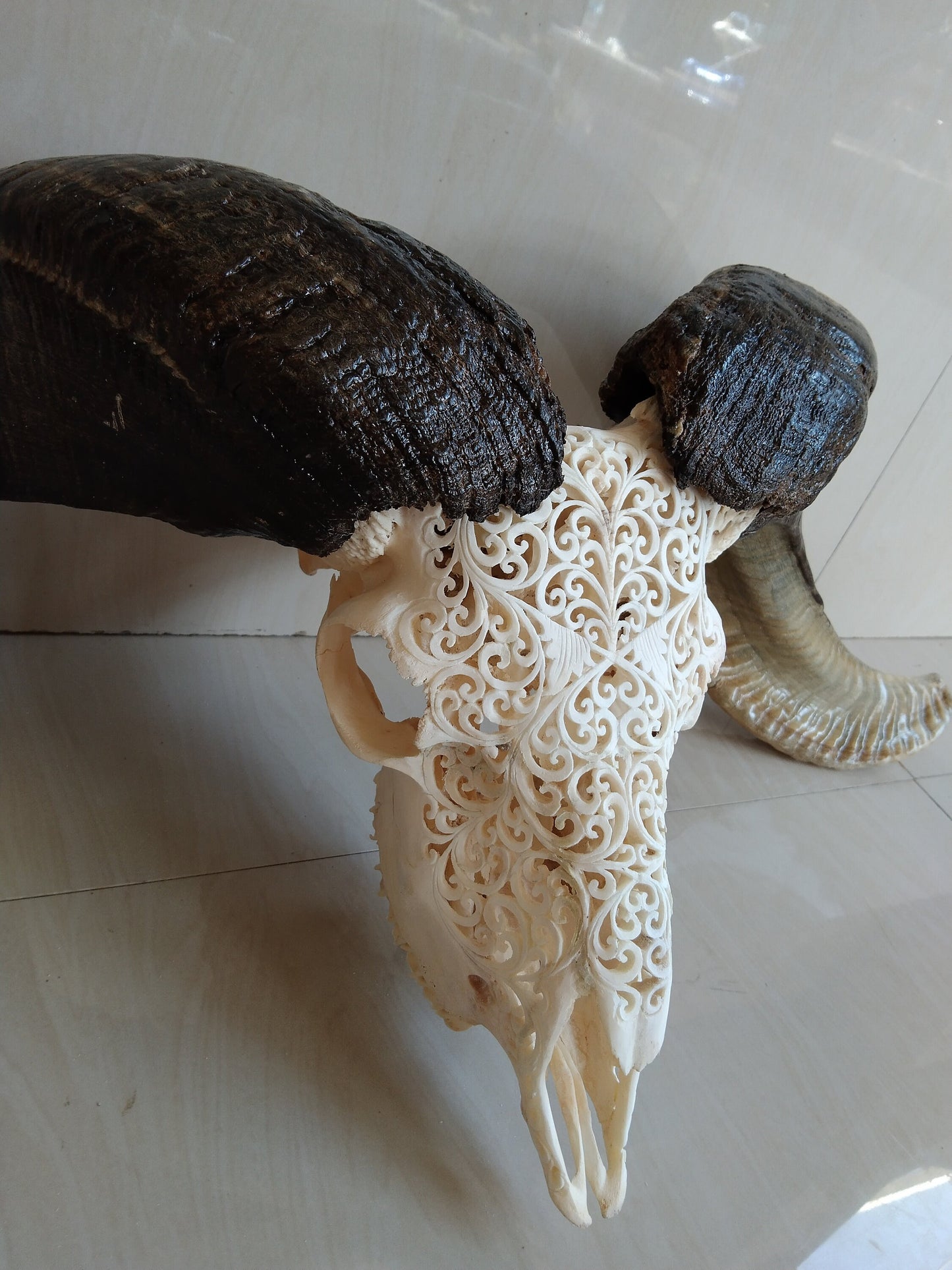 ram skull carving Hart white