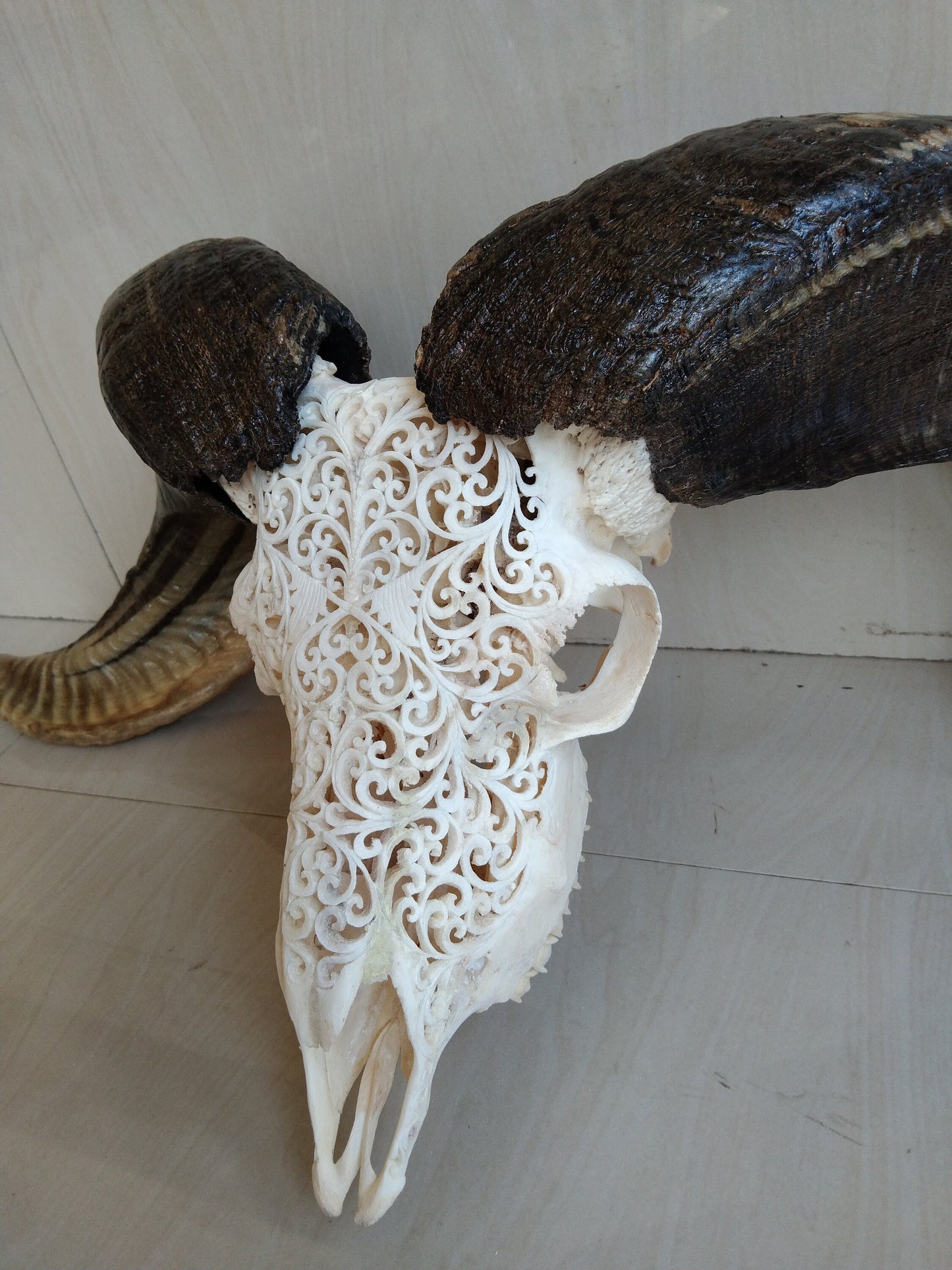 ram skull carving Hart white