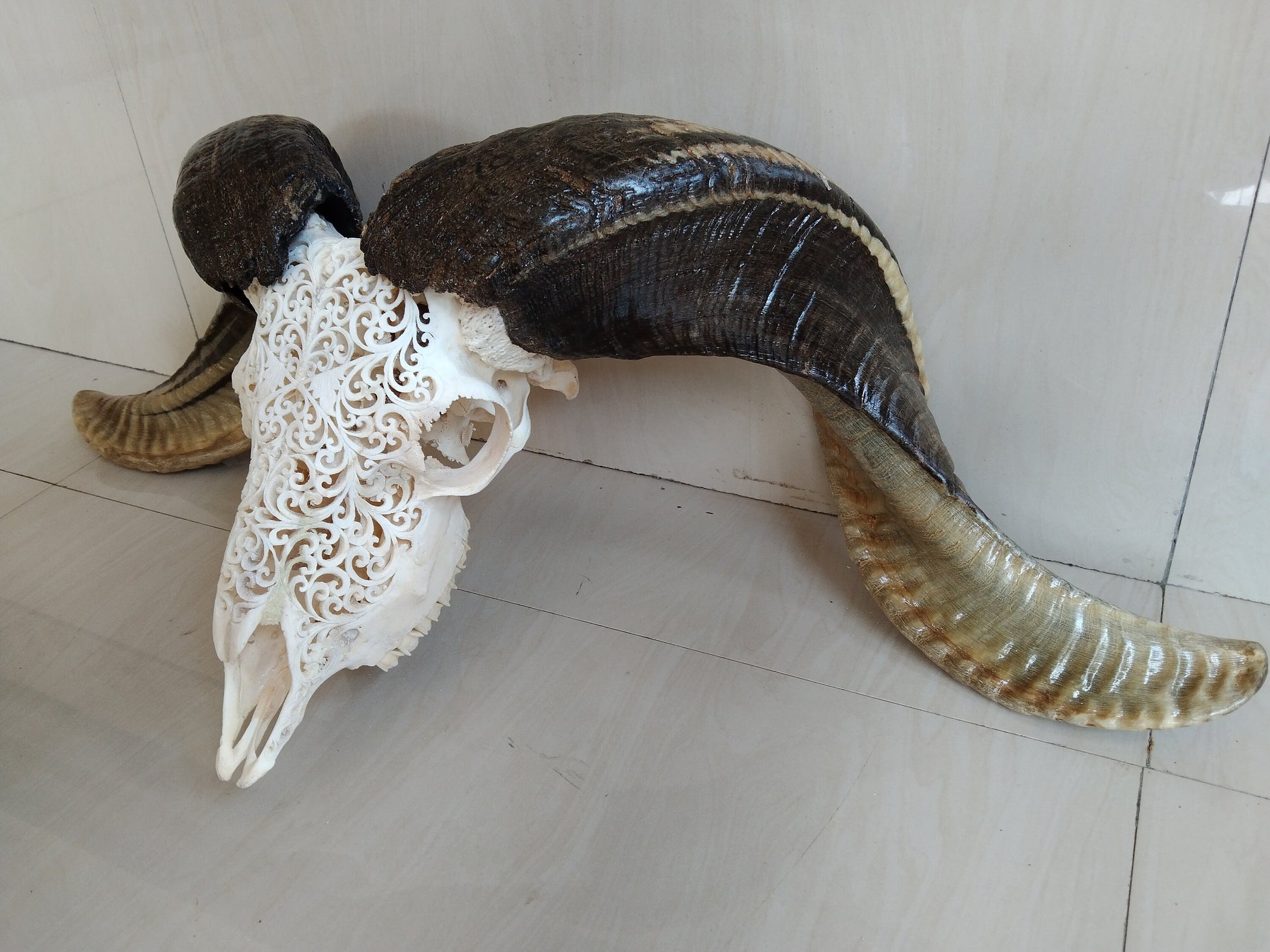 ram skull carving Hart white