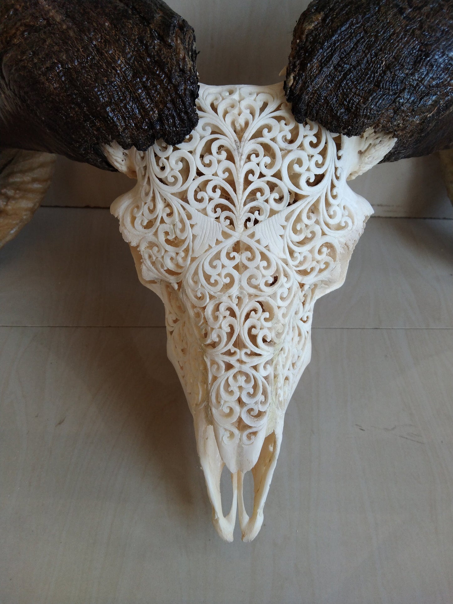 ram skull carving Hart white