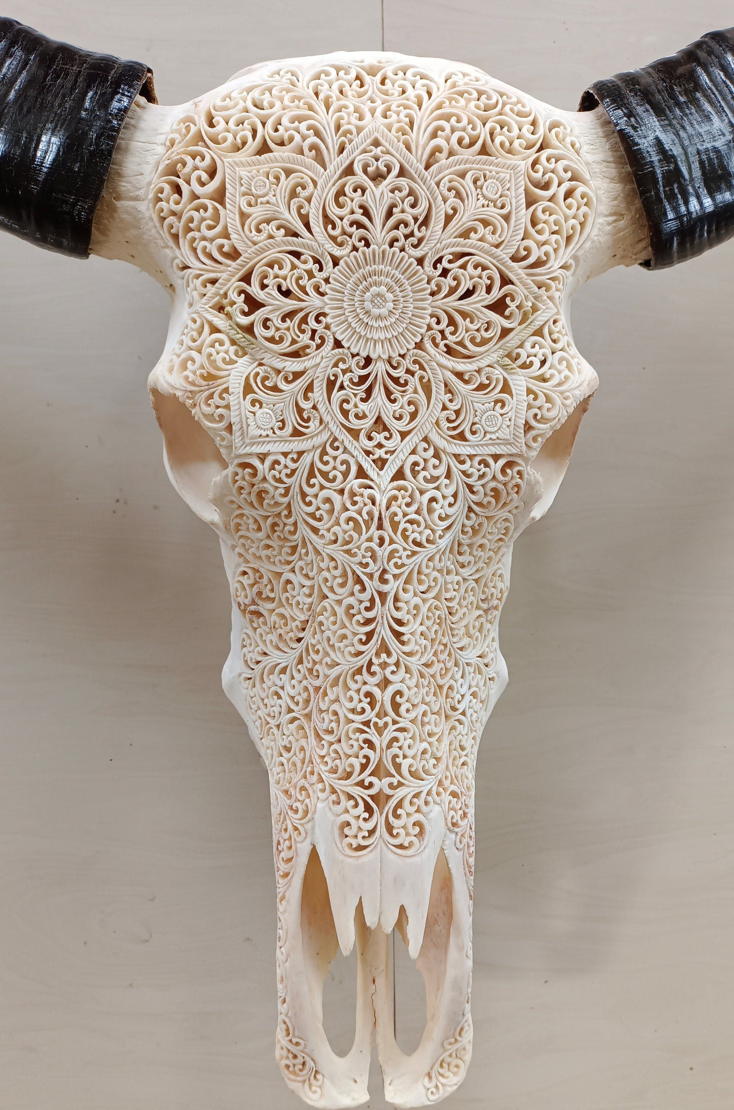 carved skull buffalo skull floral patern