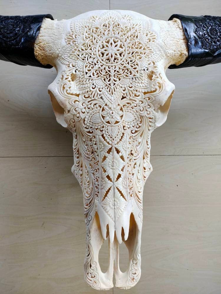 carve buffalo skull with long carved horn mandala