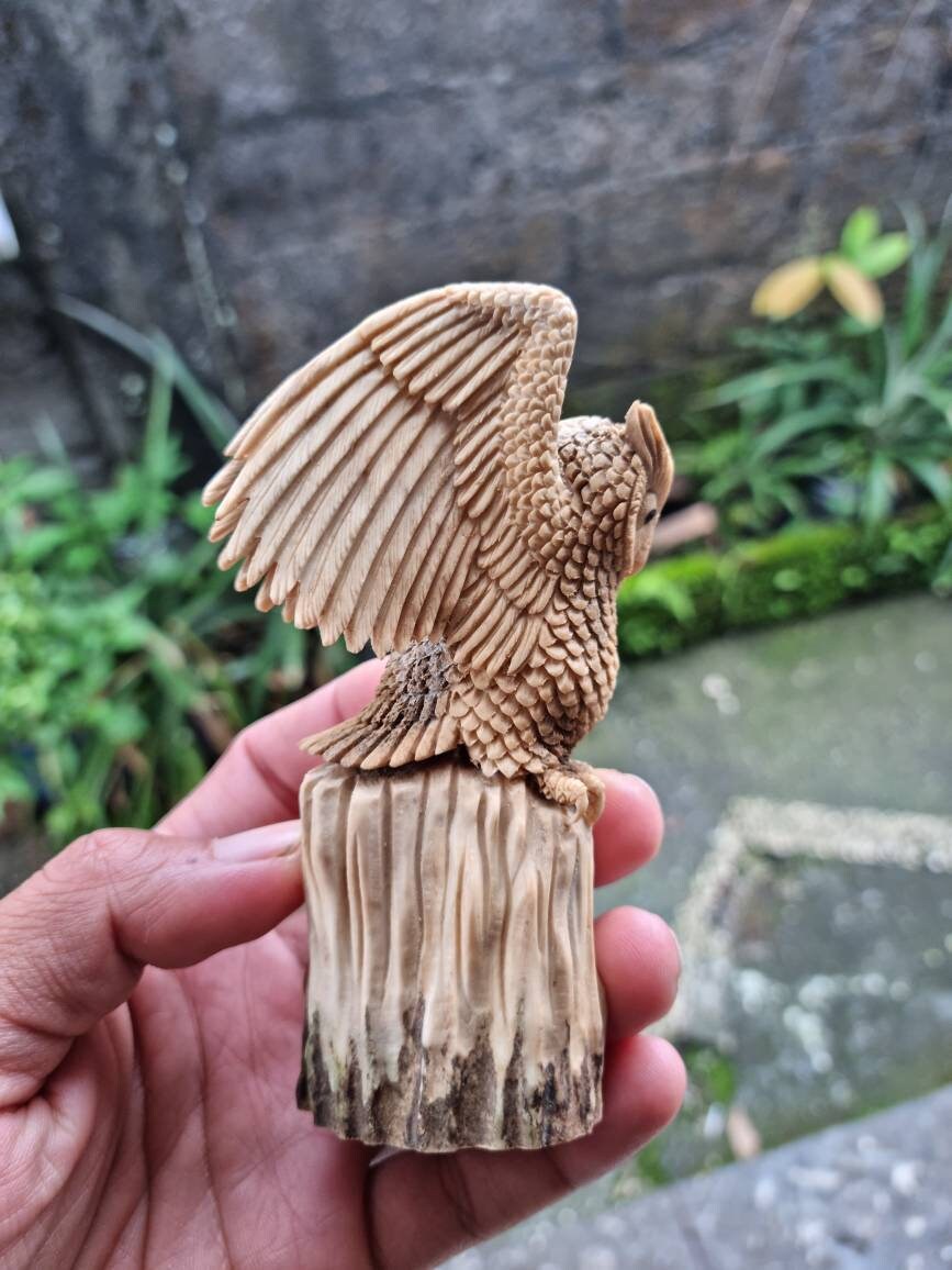 Moose antler carving owl 3d for gift