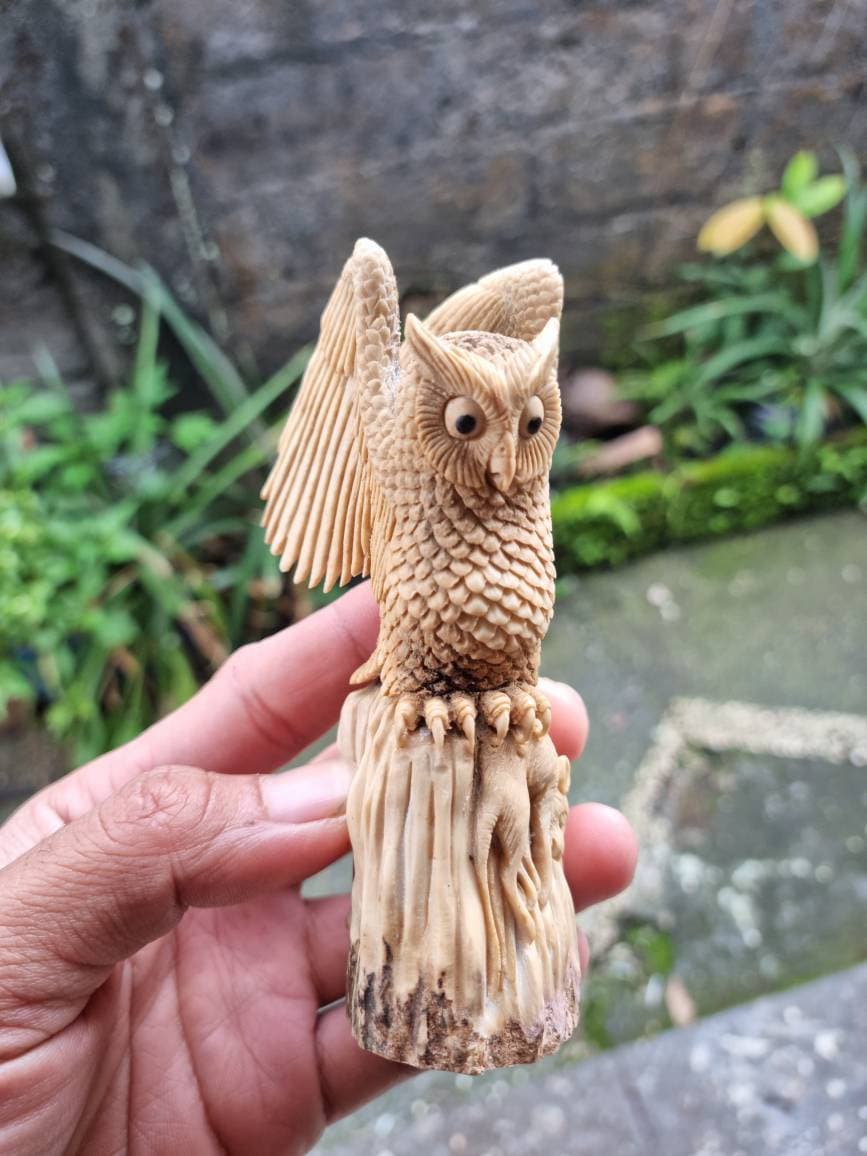 Moose antler carving owl 3d for gift