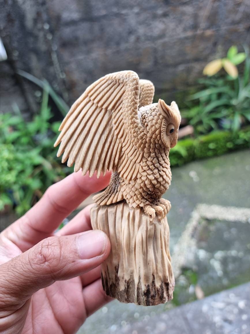 Moose antler carving owl 3d for gift