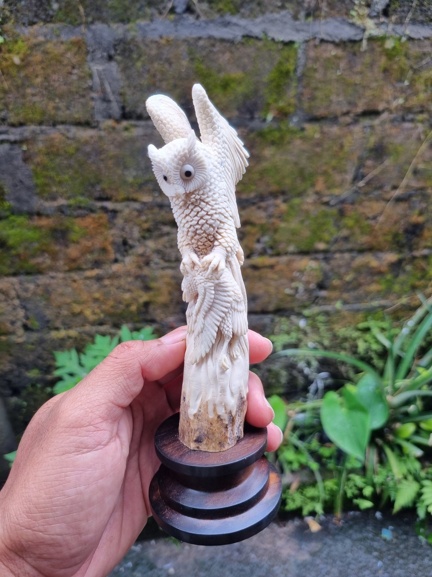 Moose antler carving owl 3d for gift