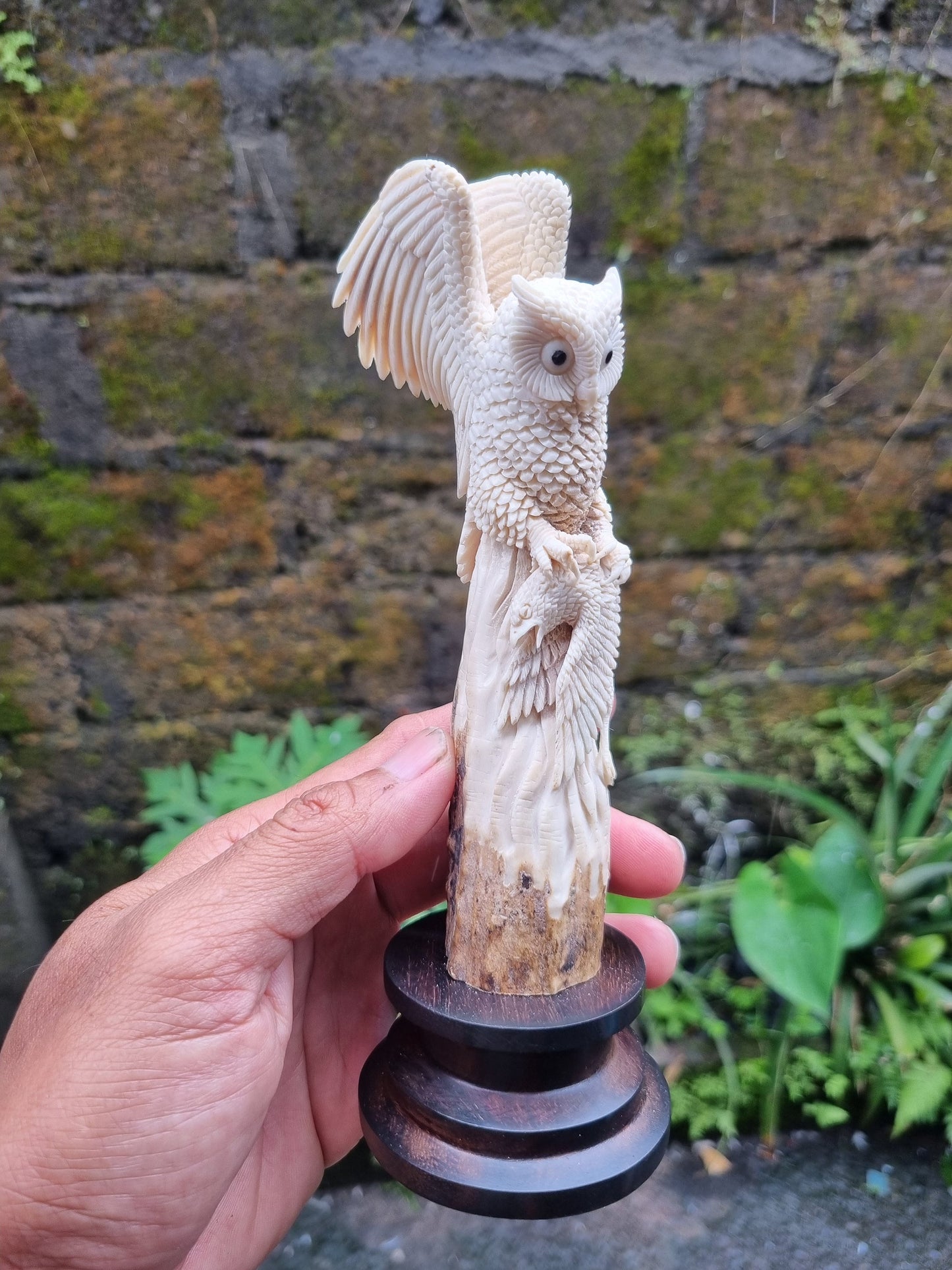 Moose antler carving owl 3d for gift