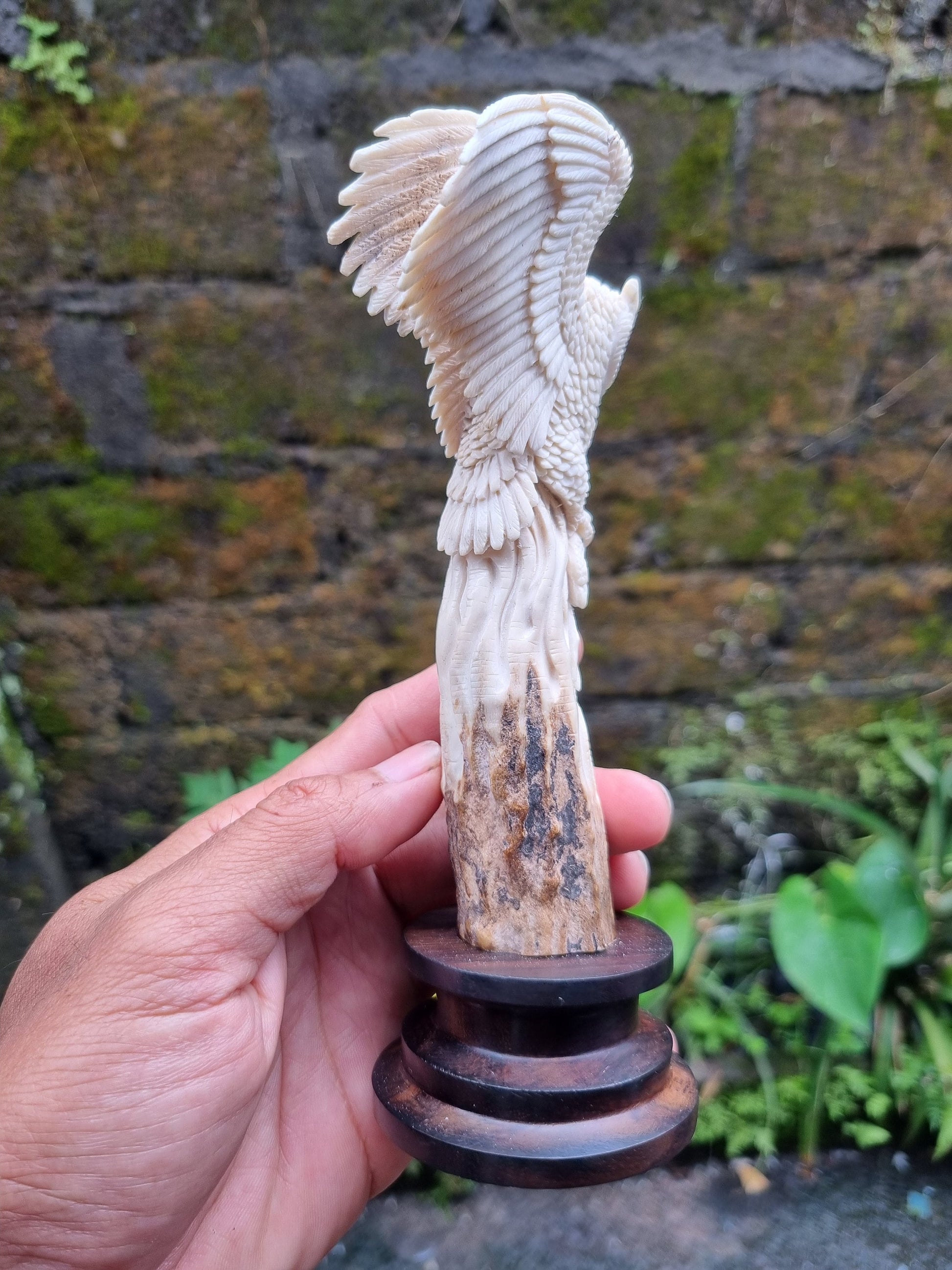 Moose antler carving owl 3d for gift