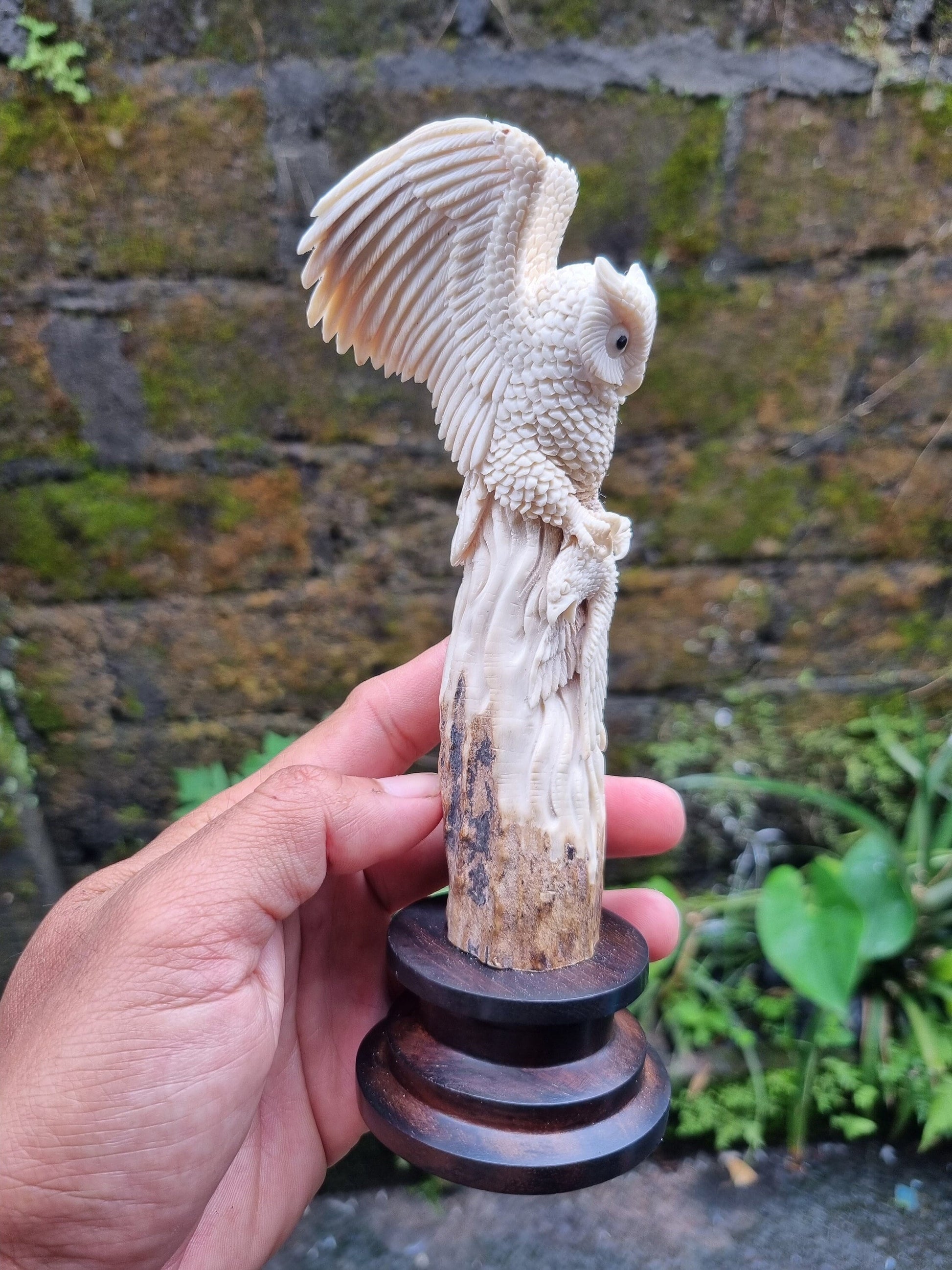 Moose antler carving owl 3d for gift