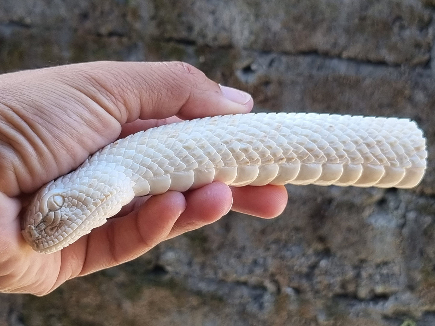 Deer antler carving snake for knife handle