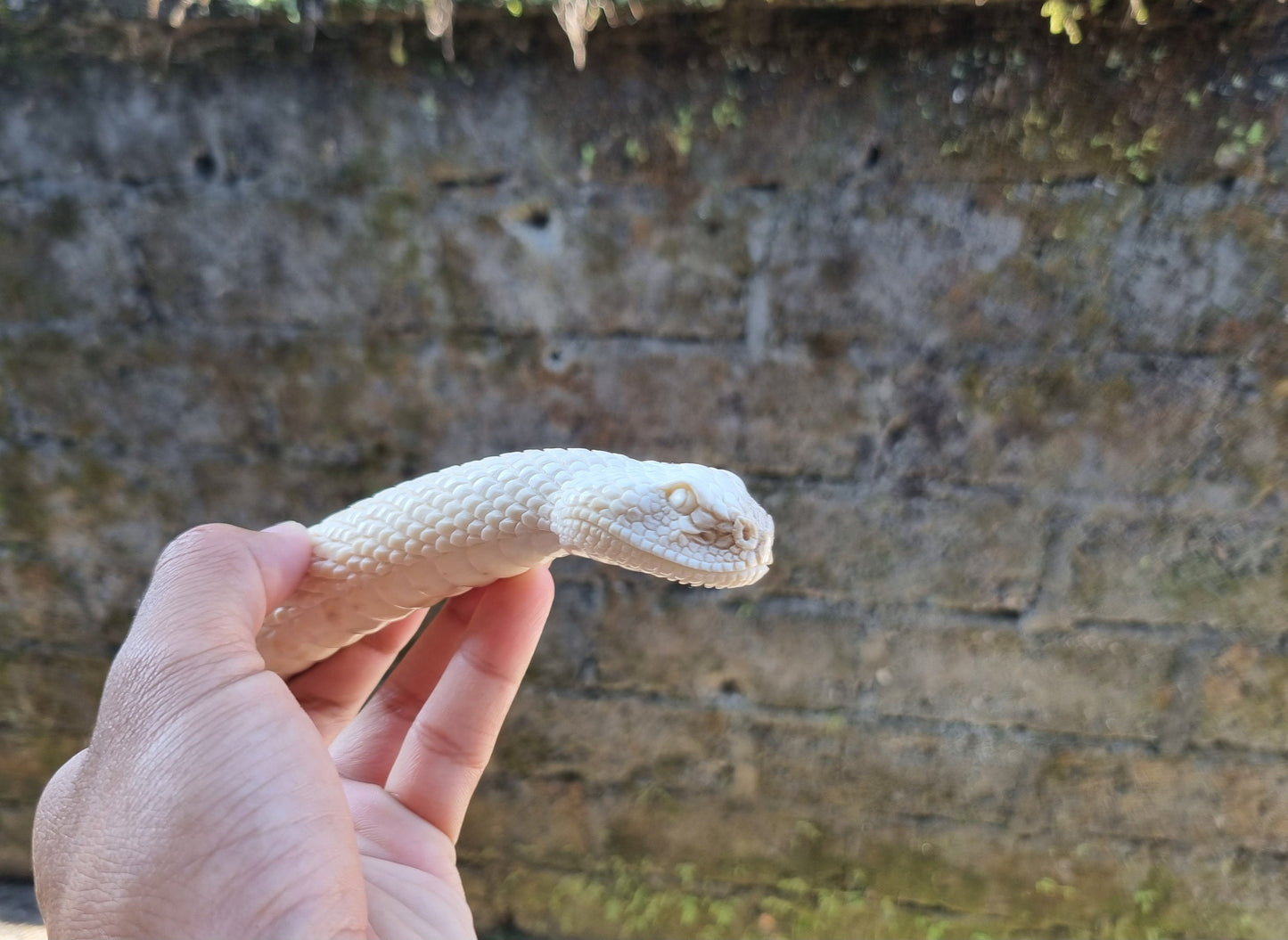 Deer antler carving snake for knife handle