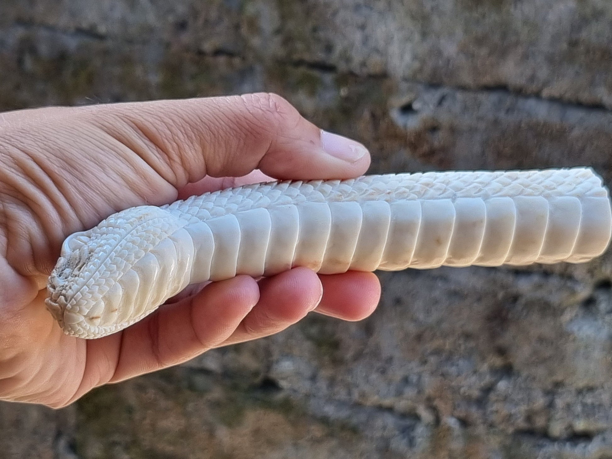 Deer antler carving snake for knife handle