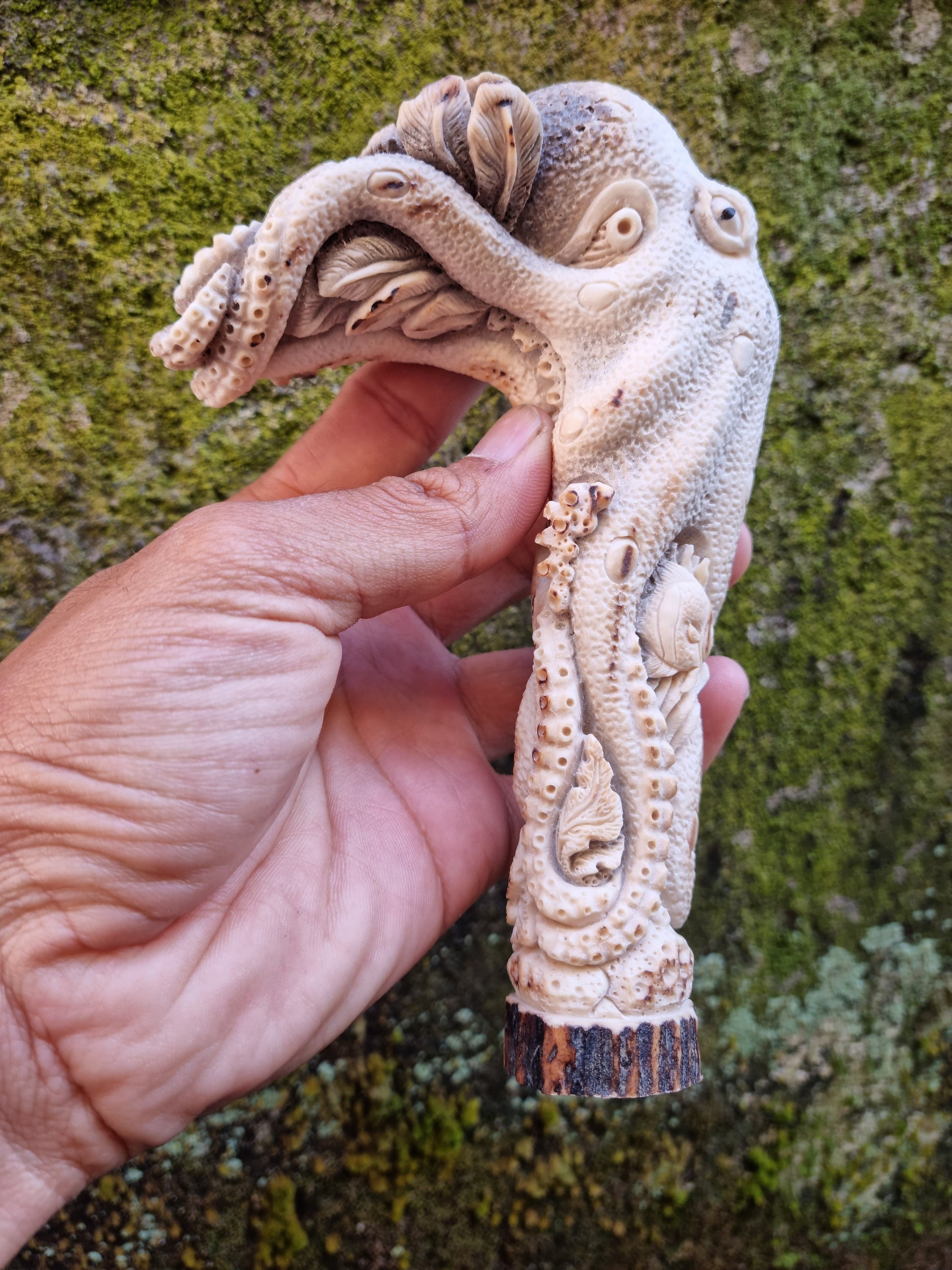 antler carving handle octopus america for walking stick