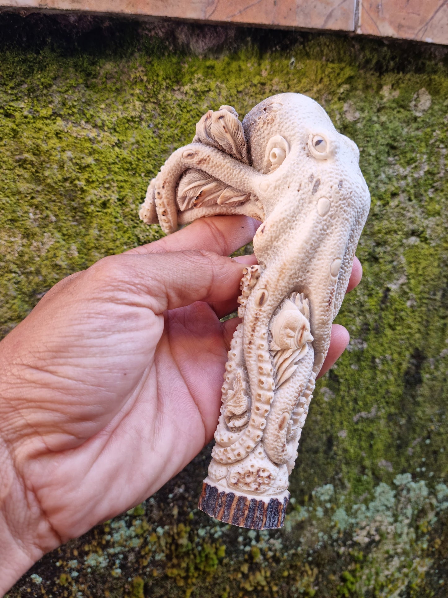 antler carving handle octopus america for walking stick