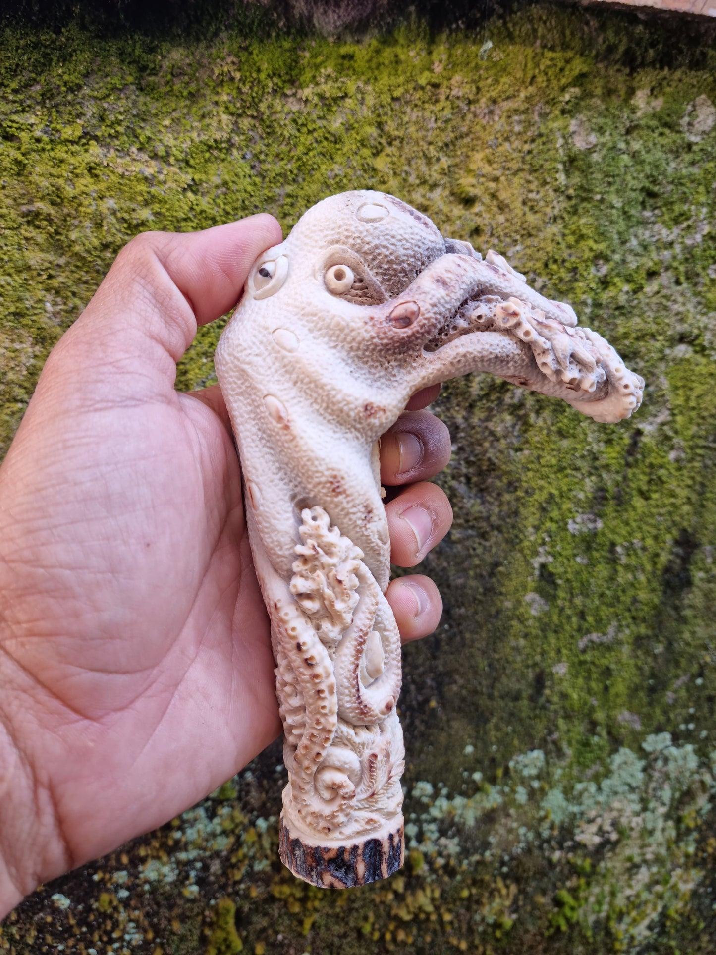 antler carving handle octopus america for walking stick