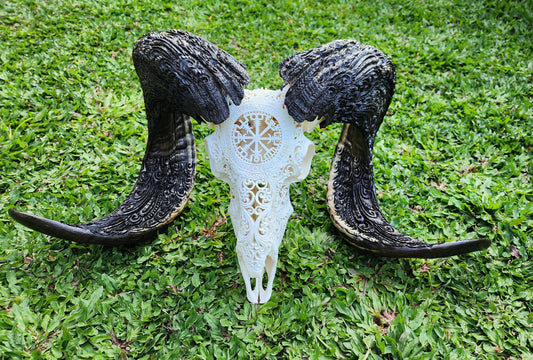 carved ram skull viking white HUGE size