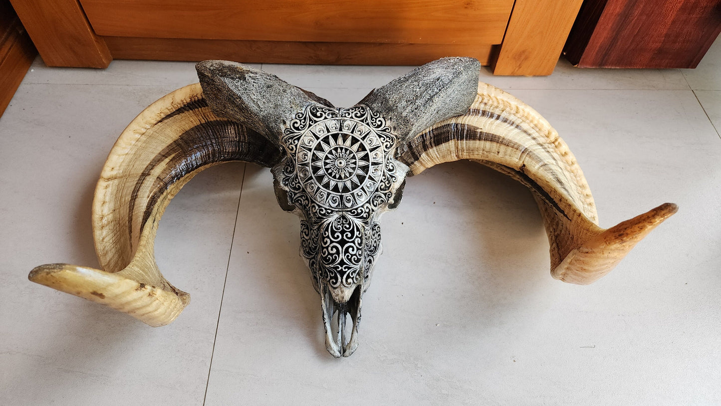 ram skull carving round grey