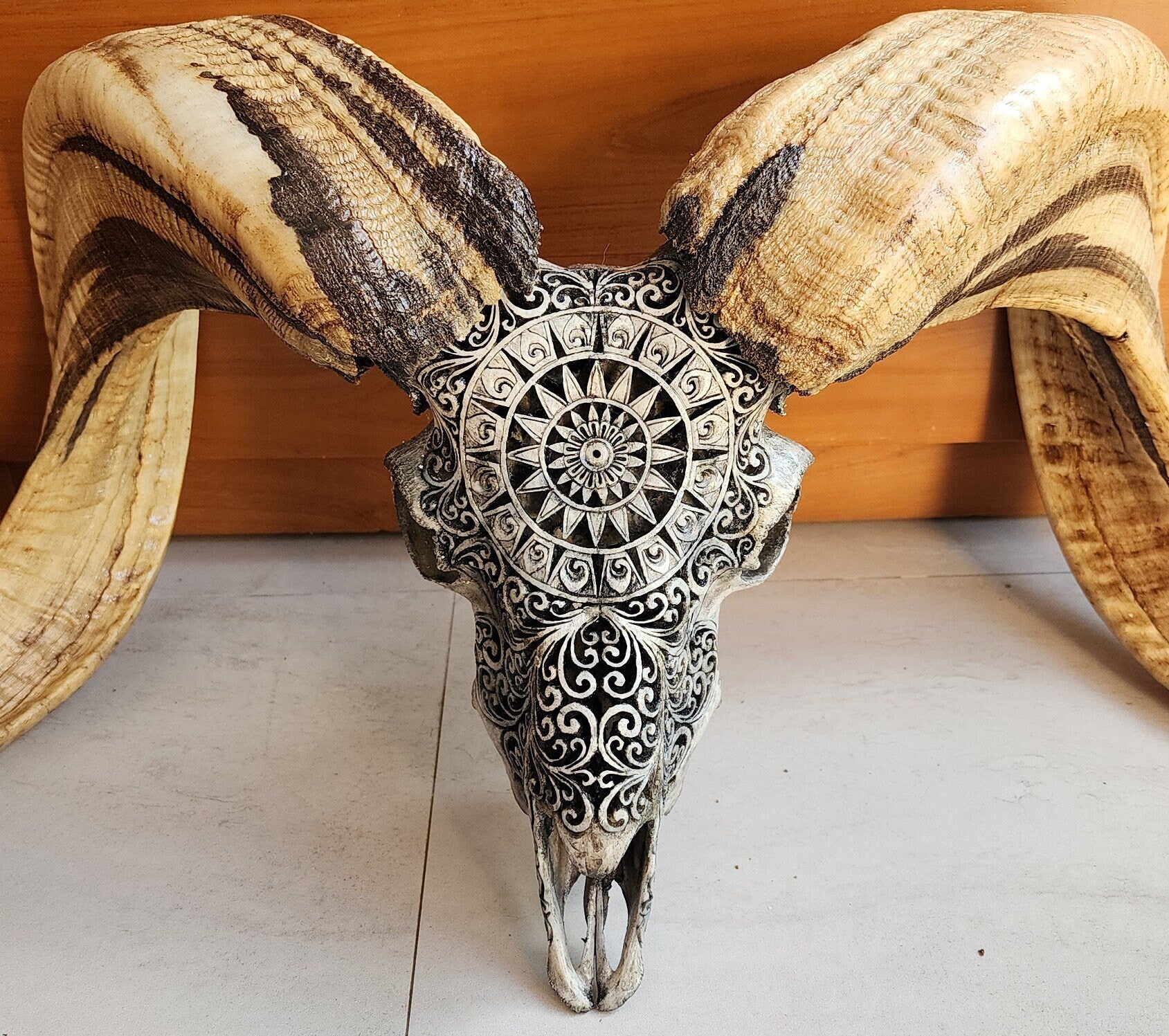 ram skull carving round grey