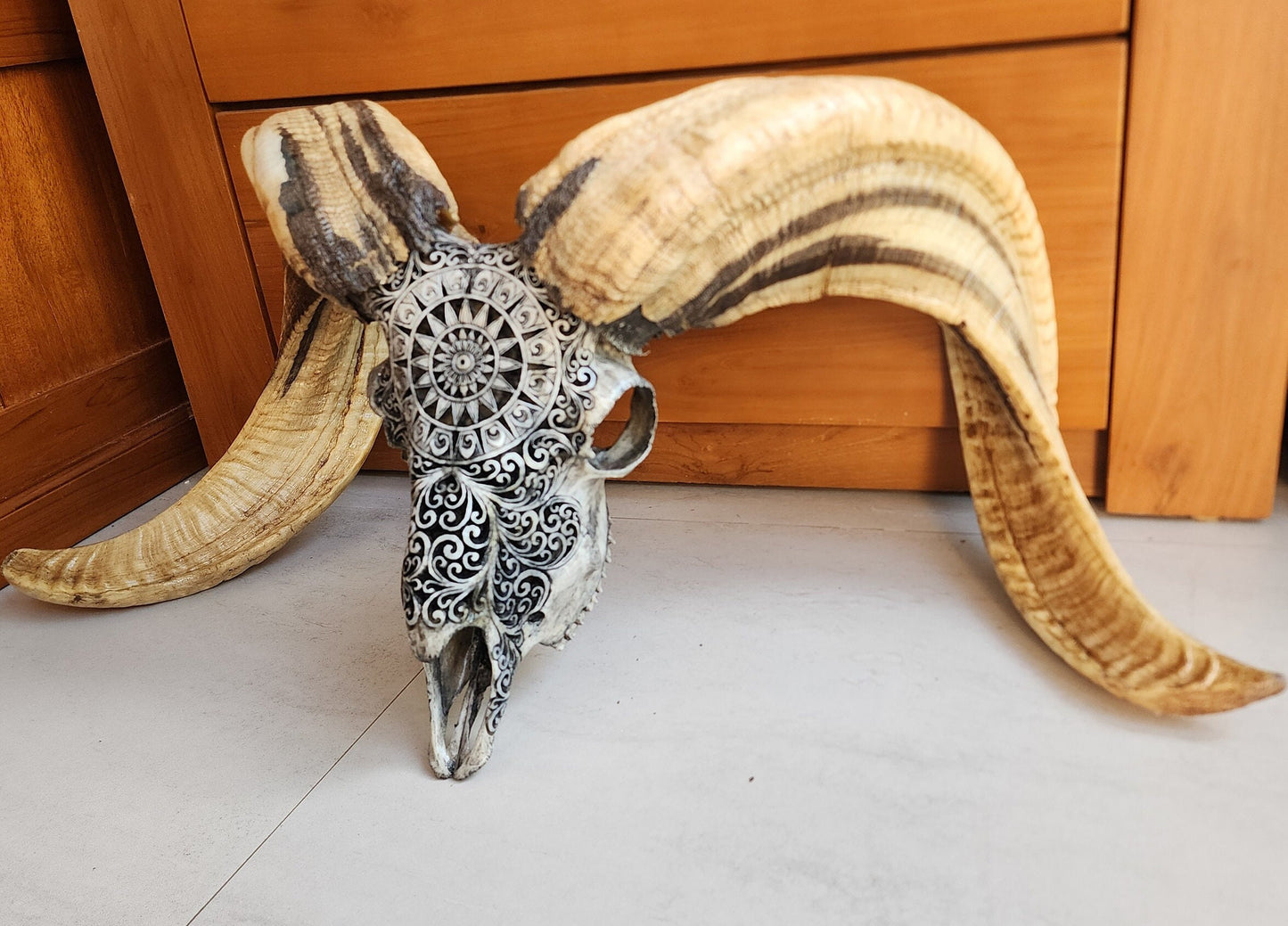 ram skull carving round grey