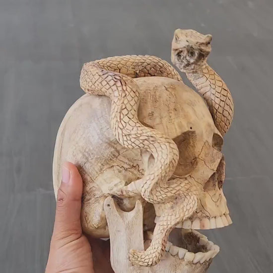 human skull art carving Skull snake wood